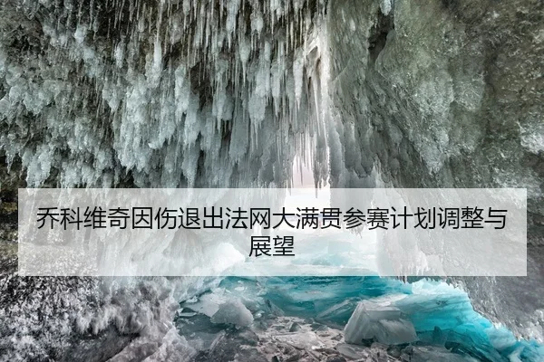乔科维奇因伤退出法网大满贯参赛计划调整与展望
